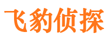 公安外遇调查取证